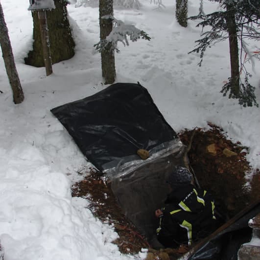 Tree root dynamics in mountain forests