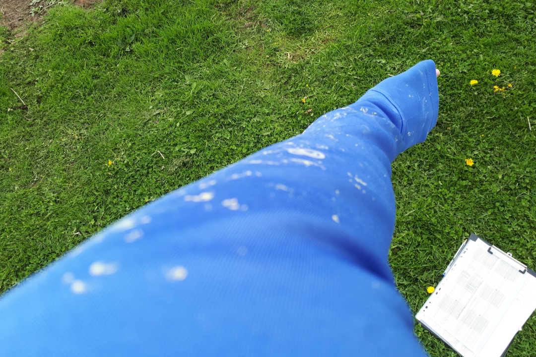 A pollen covered arm.