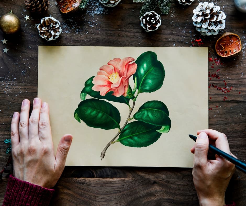 The act of drawing can teach more about Botanical morphology than writing