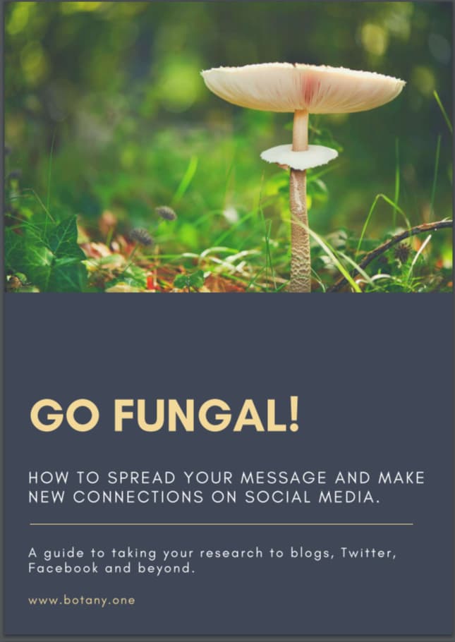 Go Fungal!