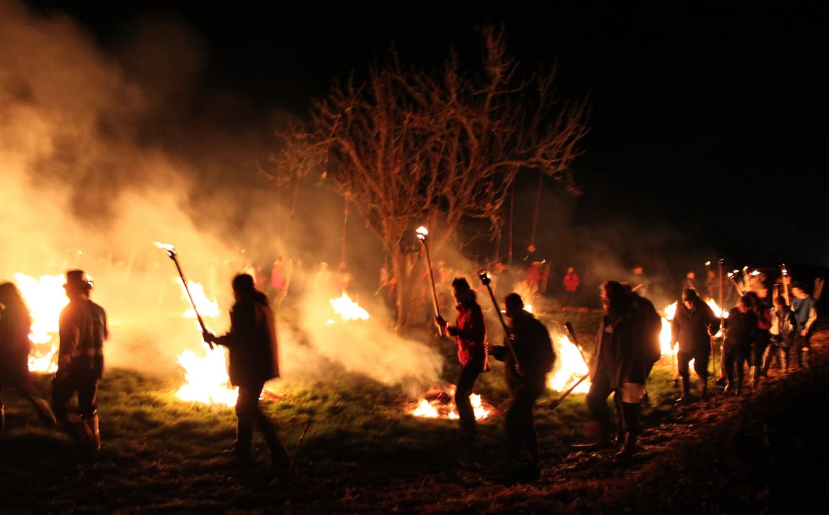 Wassailing to wake the trees