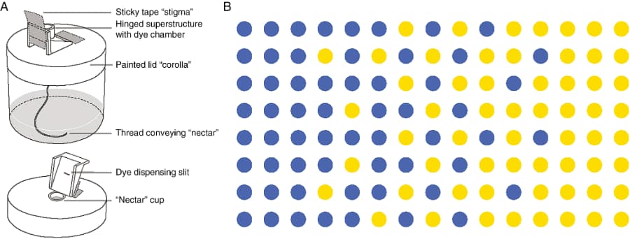 Pollination quantity and purity