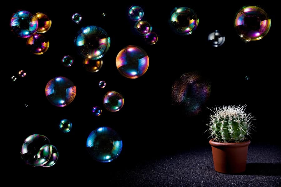 Saluting those who suffer for science