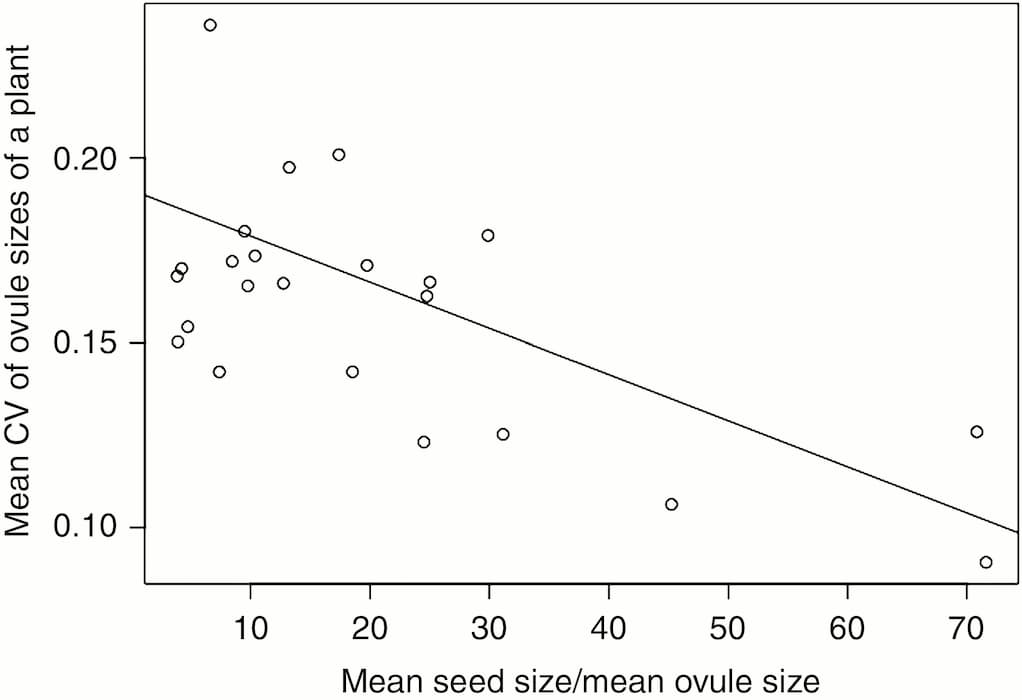 Ovule size variations and the relative sizes of ovules to seeds