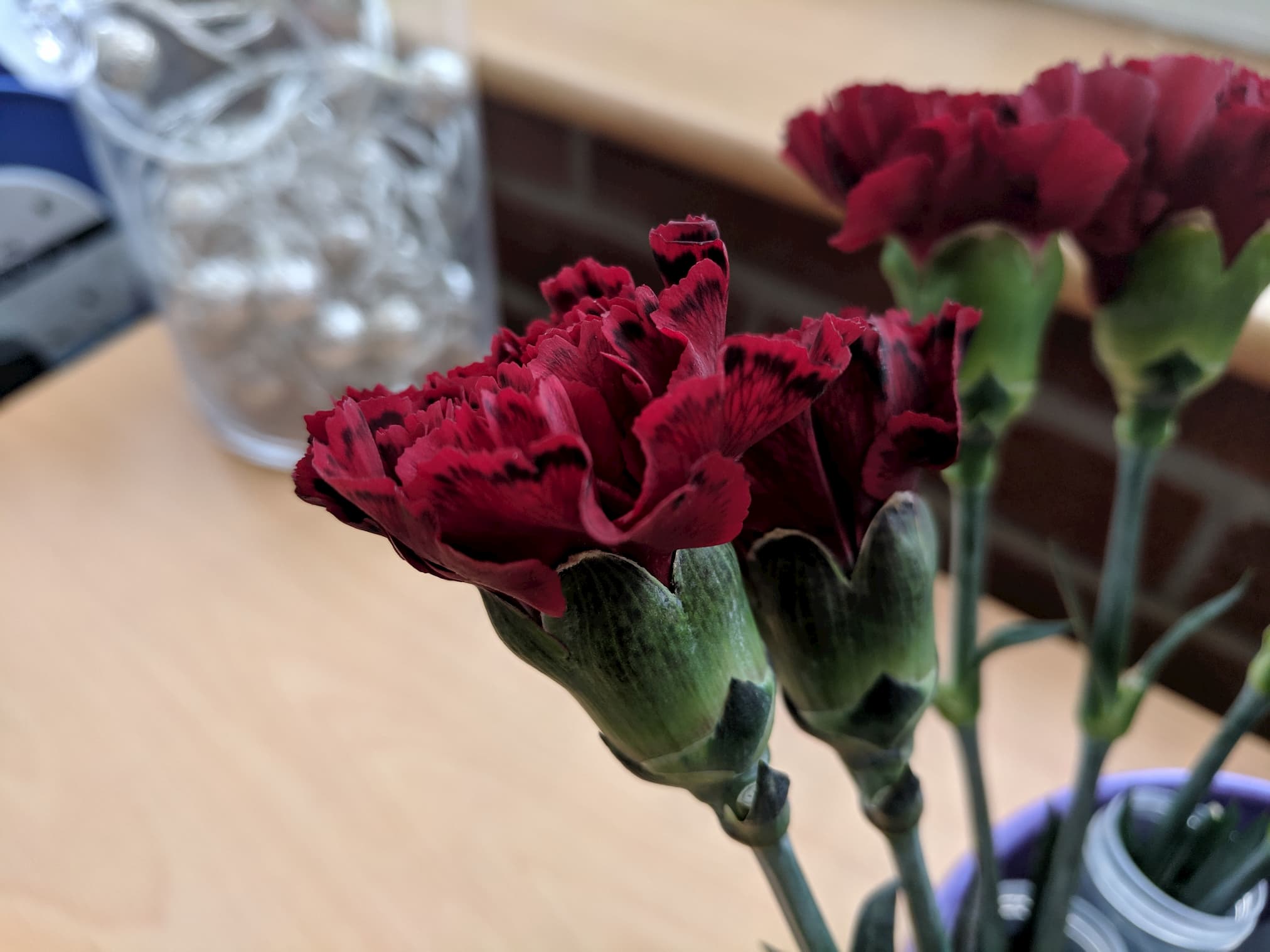 Red carnations with black lining around the edges
