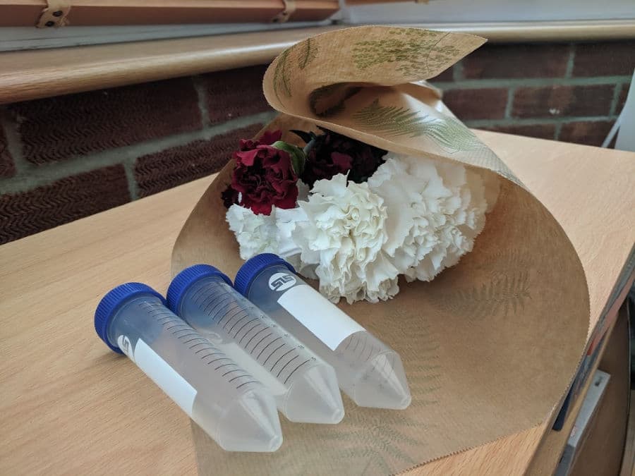 Flowers and test tubes