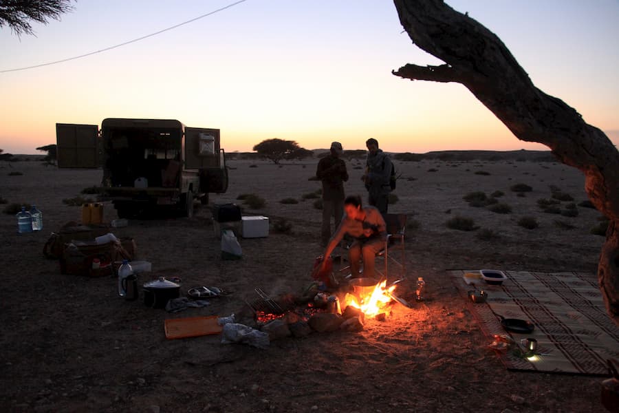 Islands in the desert and a refuge against a changing climate