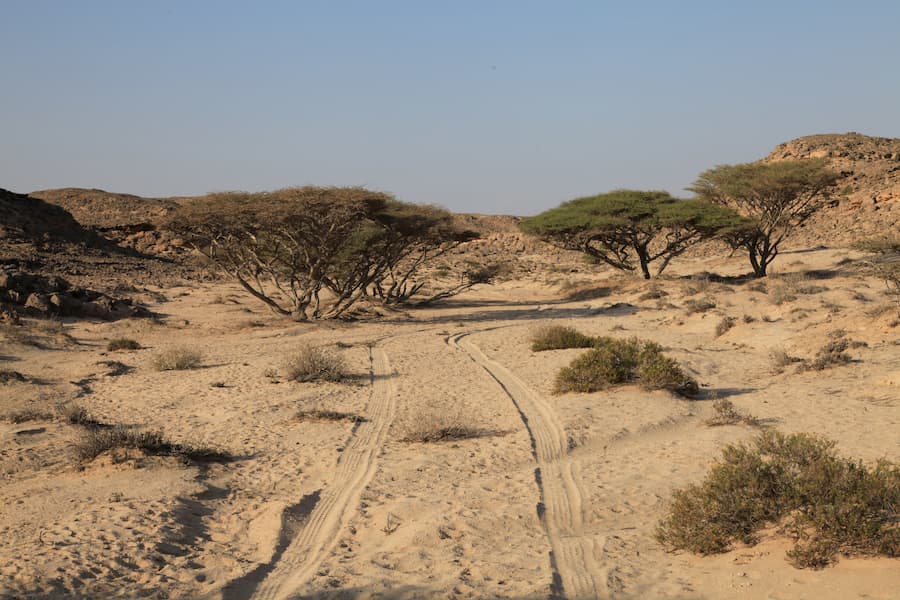 The desert in Oman