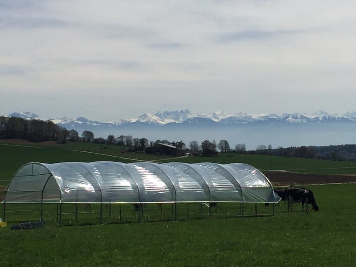 Responses of plant leaf economic and hydraulic traits mediate the effects of drought on grassland productivity