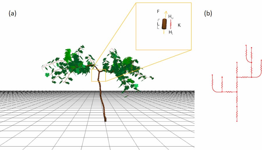 A computer model of a plant