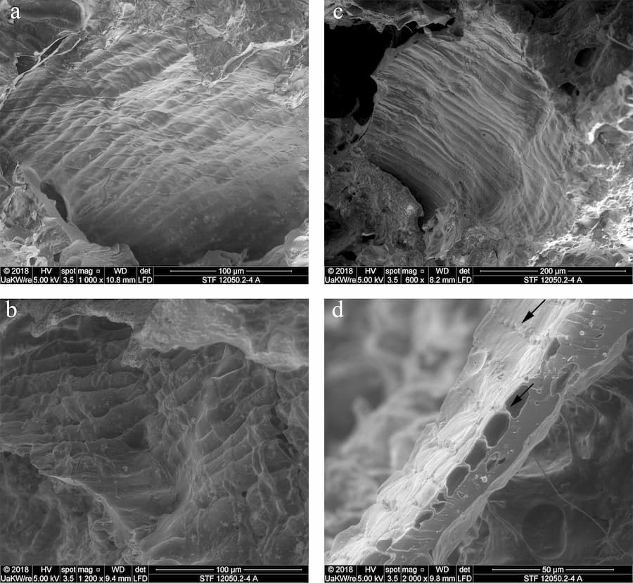 Is Holey Bread, Holy Bread or Wholly Bread?