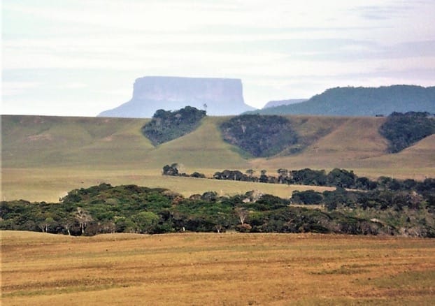 Outbreeding and inbreeding strategies in plant communities of the Venezuelan Gran Sabana Plateau
