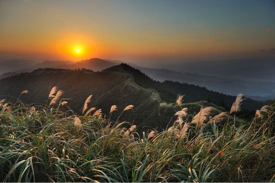 Growing biofuels in marginal land