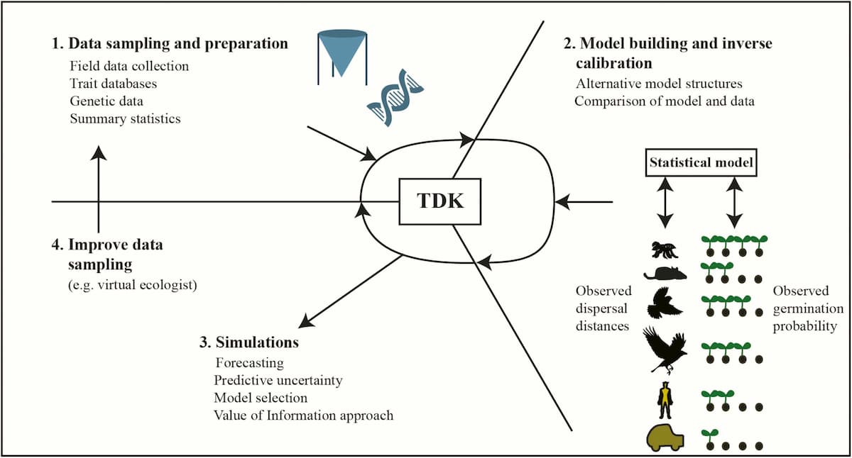 The total dispersal kernel: a review and future directions