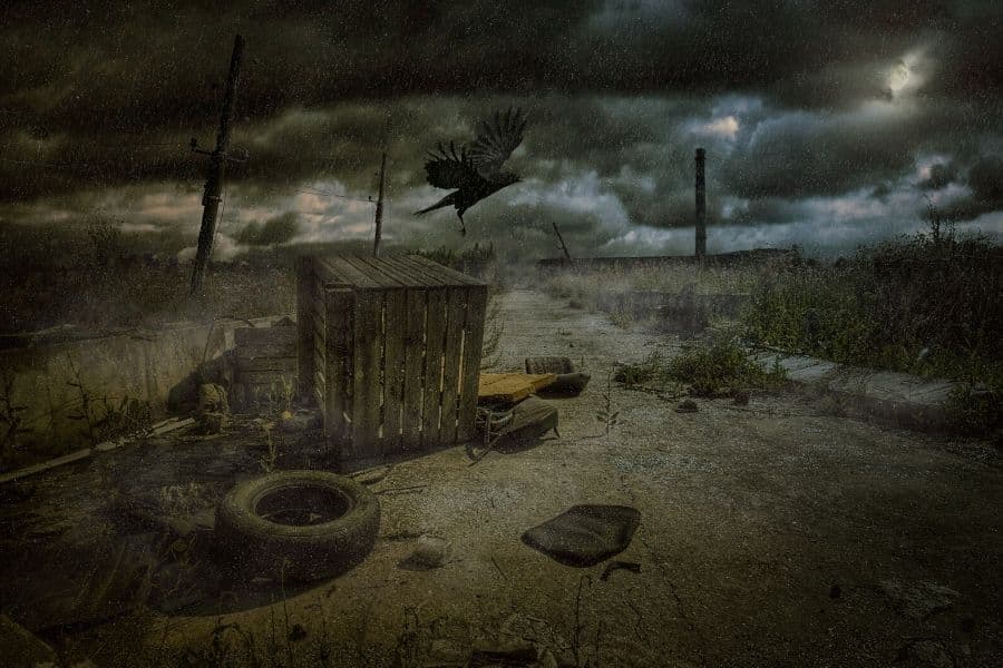 Poisoned soils could be healed with the right kind of cress