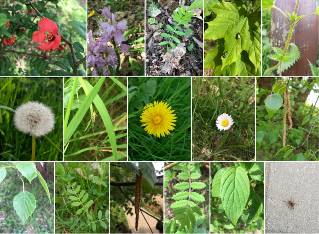 BioGO, a treasure hunt to teach biology