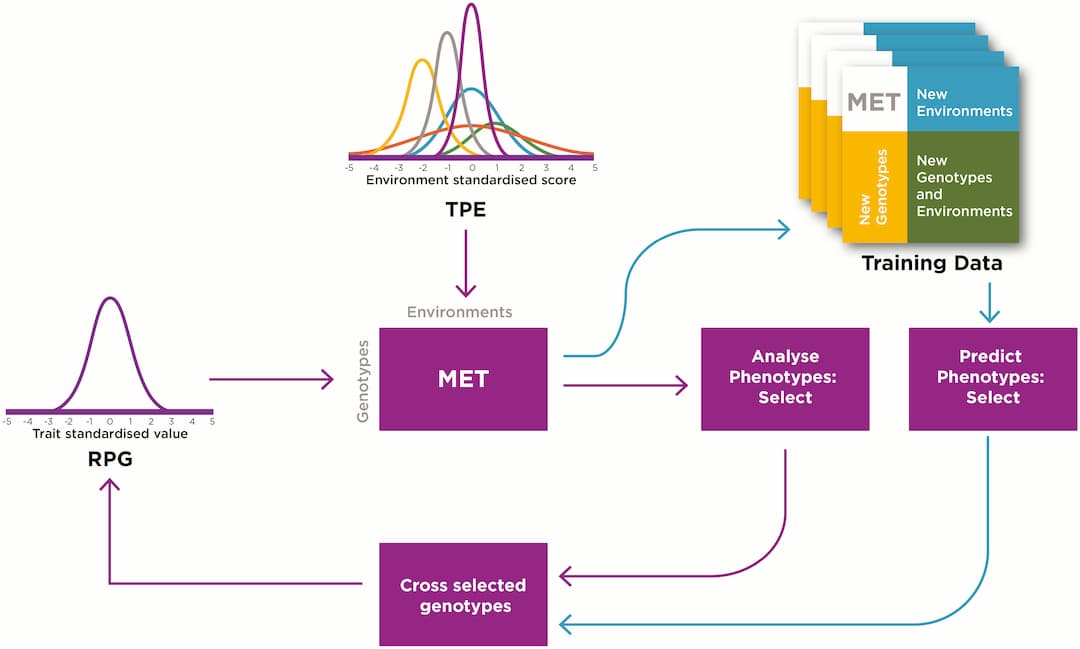 How do you combine simplicity and realism in plant models?