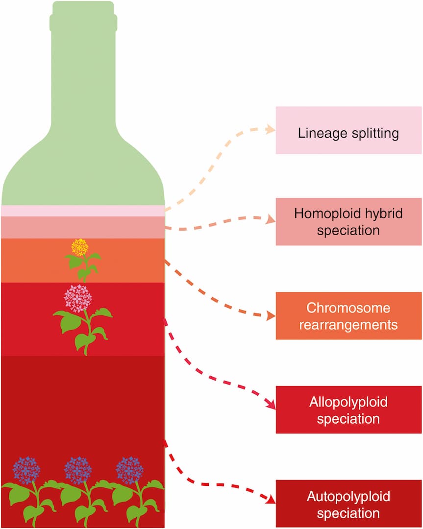 The future will be short