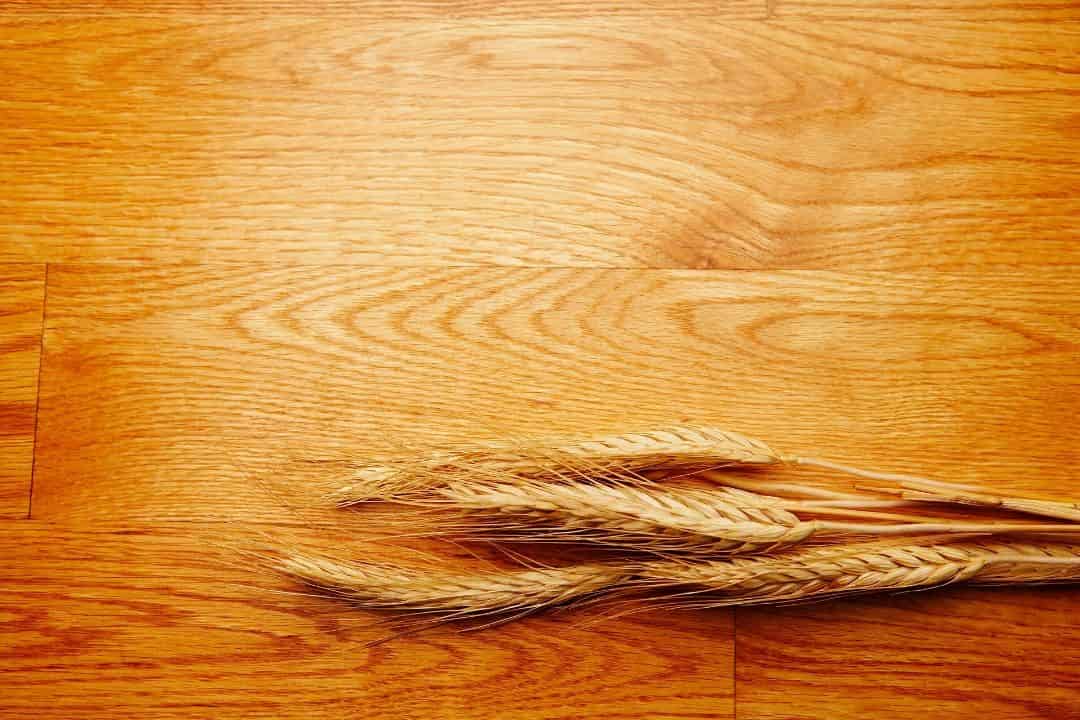 Root growth and plant height connected to an auxin-related gene