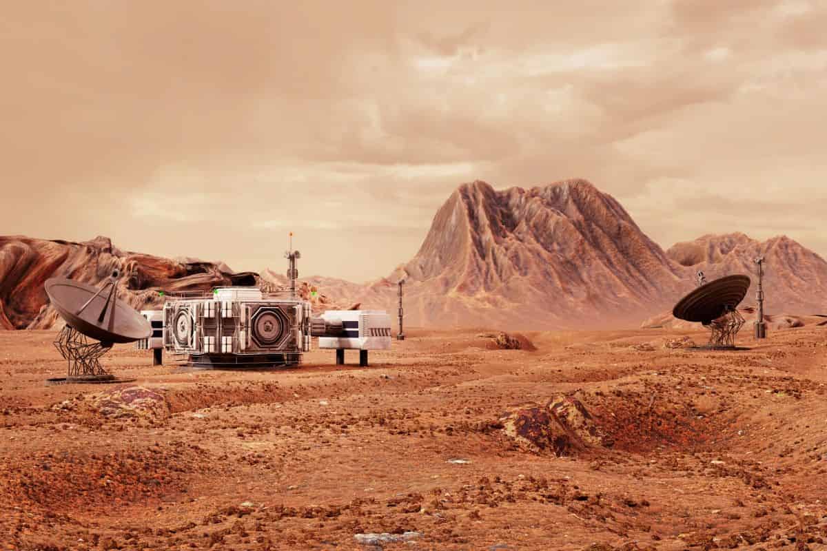 Grow your own Martian salad