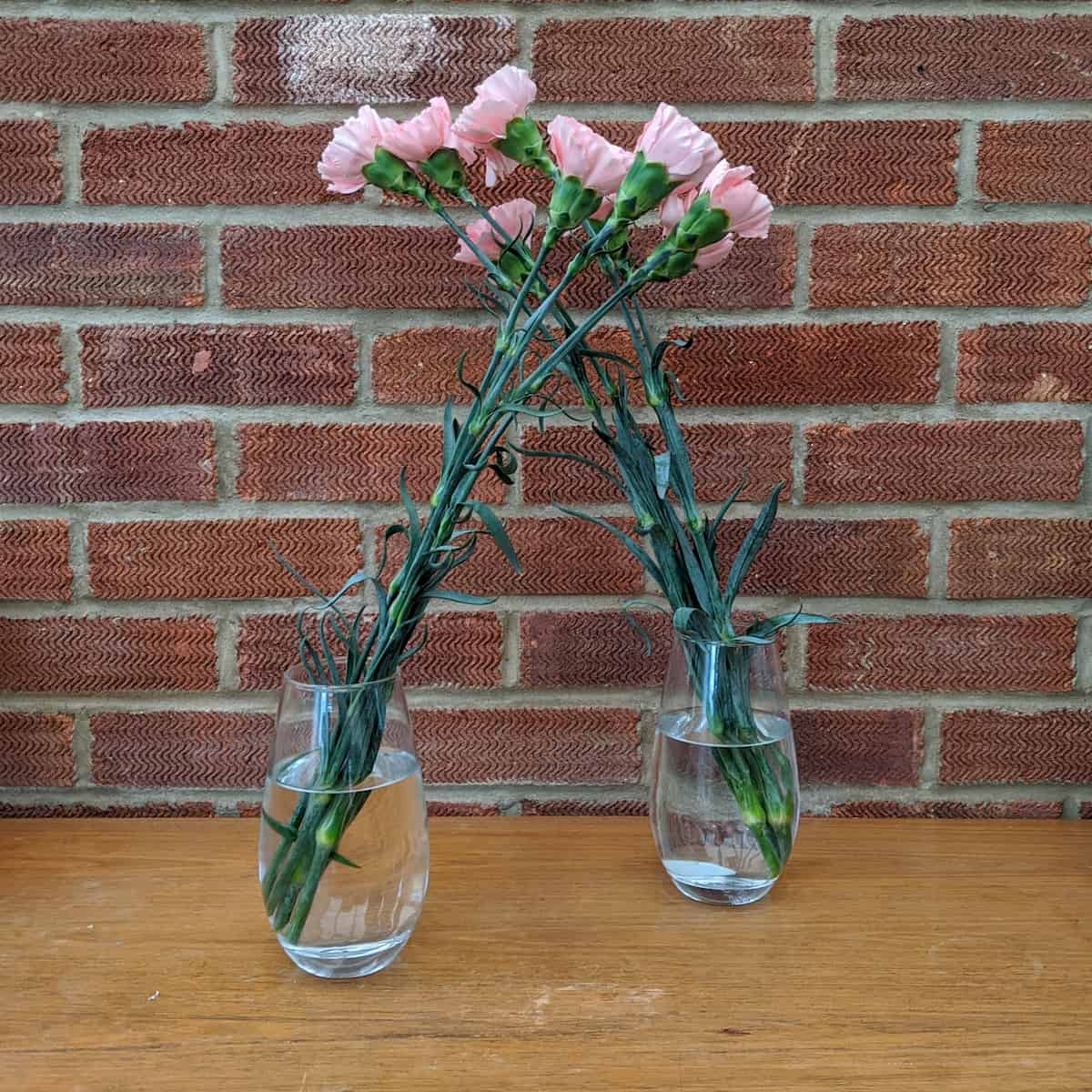 Two vases with flowers in. Neither looking particularly droopy.