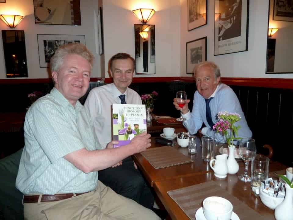 Aluminium-silicon interactions in higher plants: a brief personal history