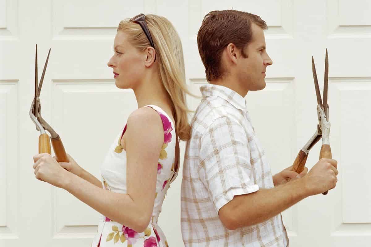 Simulated Herbivory Leads Grasses to Pass Fungal Symbionts to Their Offspring