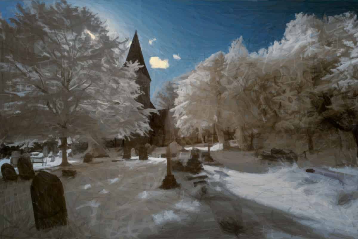 Indeterminate Domain (IDD) proteins say something about a distant common ancestor of Streptophyta