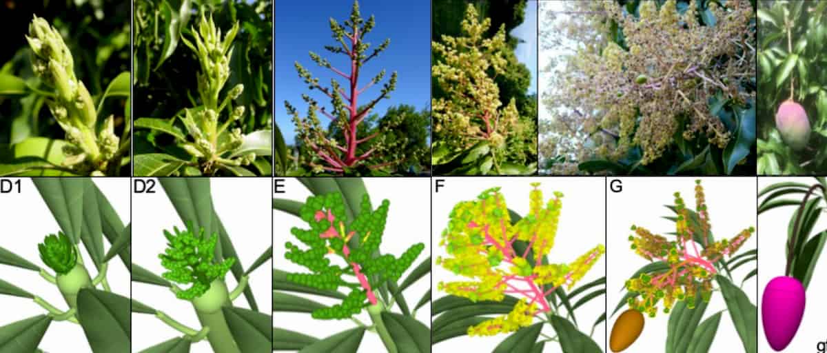 Comparison of observations with simulations