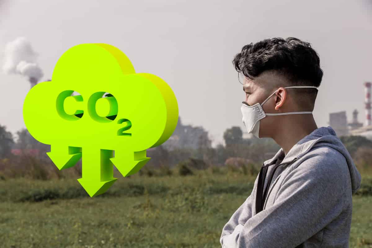 New research shows that Bioenergy plants need to be in the right location to deliver benefits