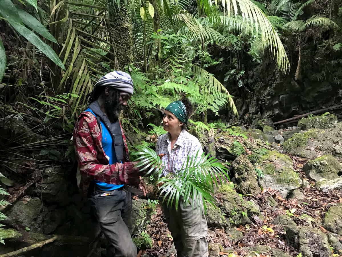 Ethnobiologists consider their impact during and after the COVID-19 pandemic