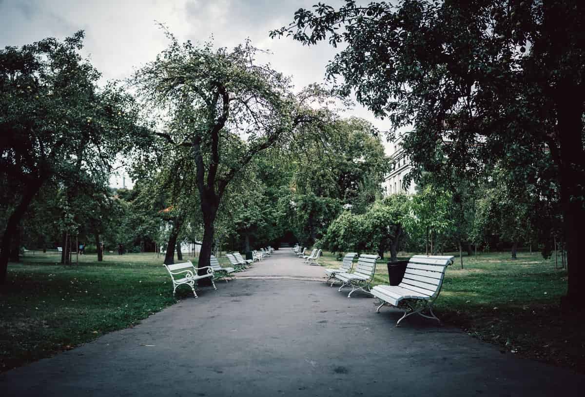 Ex Situ Collections Not Reaching Genetic Diversity Goals