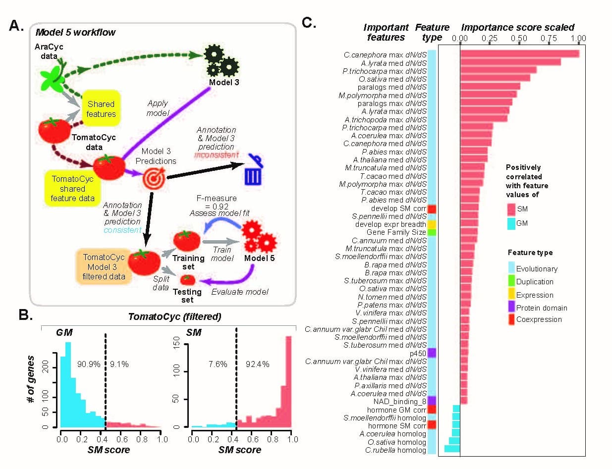 Transferring annotation information between species through machine learning