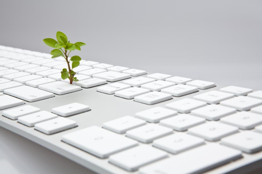 Agent Based Models in Plant Science