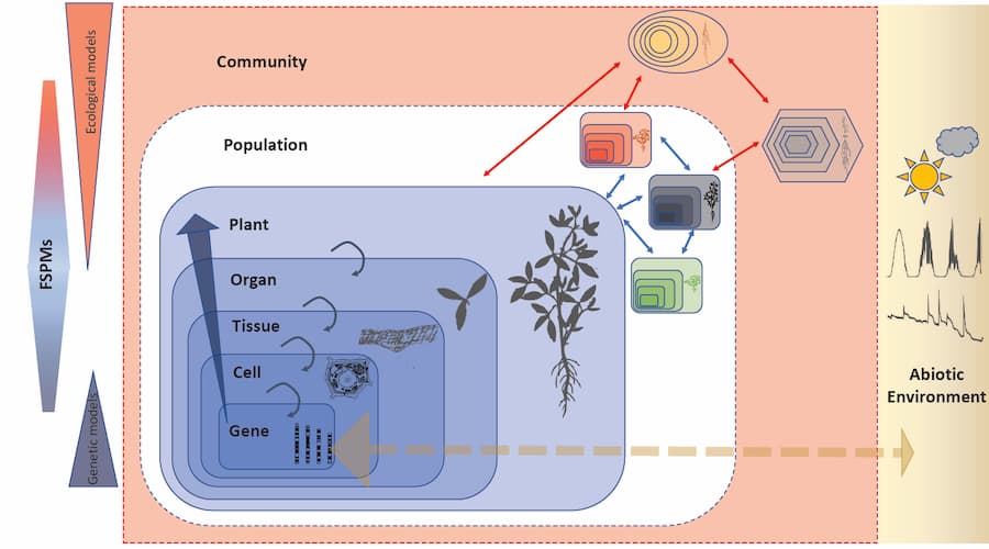 Two decades of “virtual” plant simulations: what’s next?
