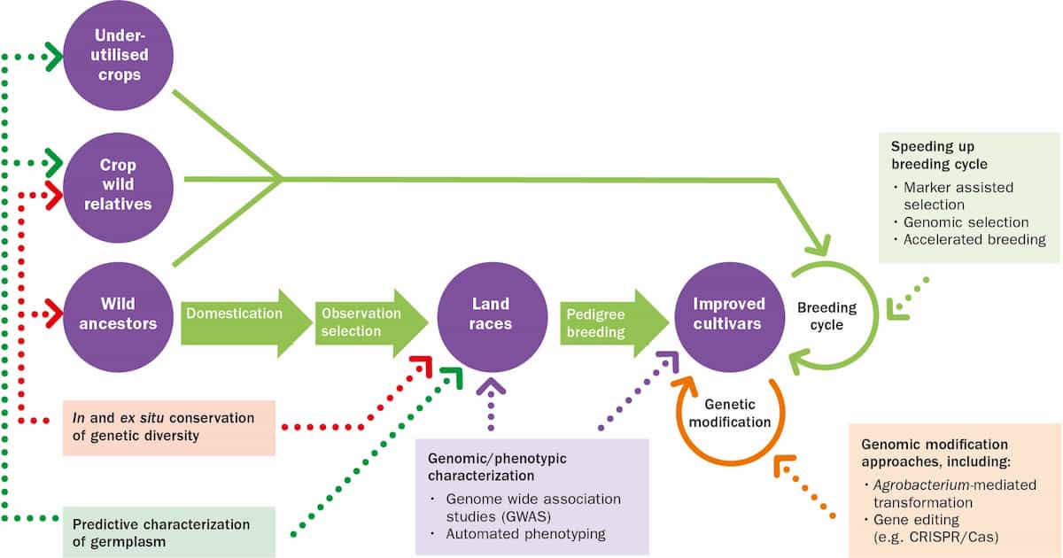 State of the World’s Plants and Fungi: finding useful plants and fungi