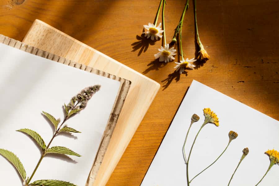 Small herbaria make outsize contributions