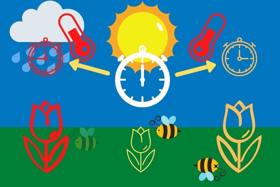 Climate change will scramble the biological clock of the forest floor