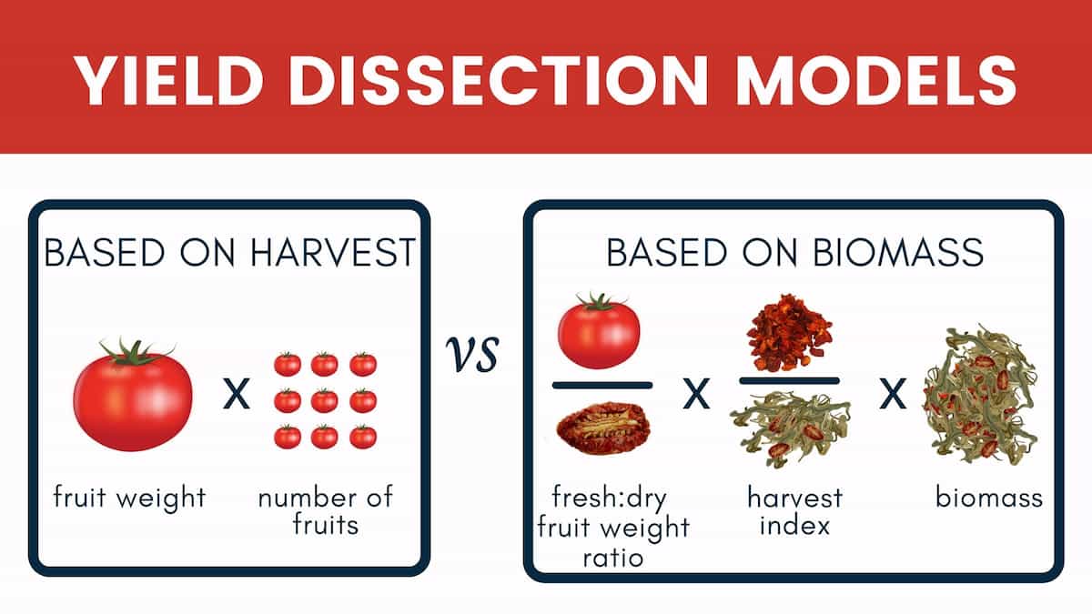 Evaluating yield components leads to yield improvement