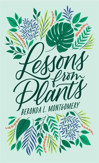 Plant parables for the 21st Century