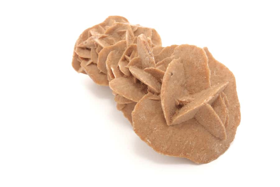 Plants drink in unknown ways on gypsum hills