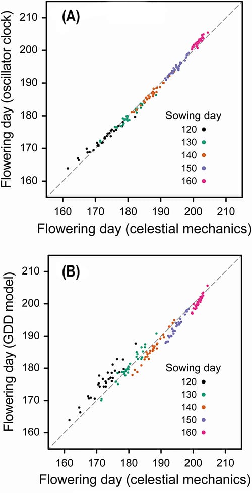 Modeling the circadian clock