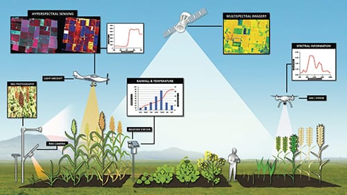 The future of digital technologies for crops