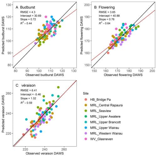 Building a better grapevine model