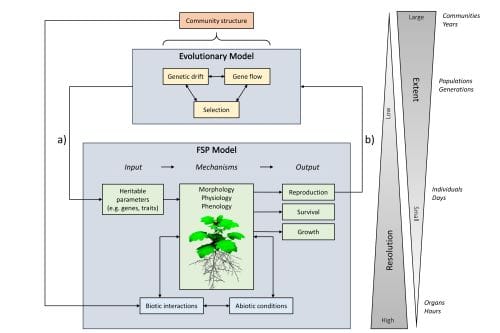 How will plant communities respond to climate change?