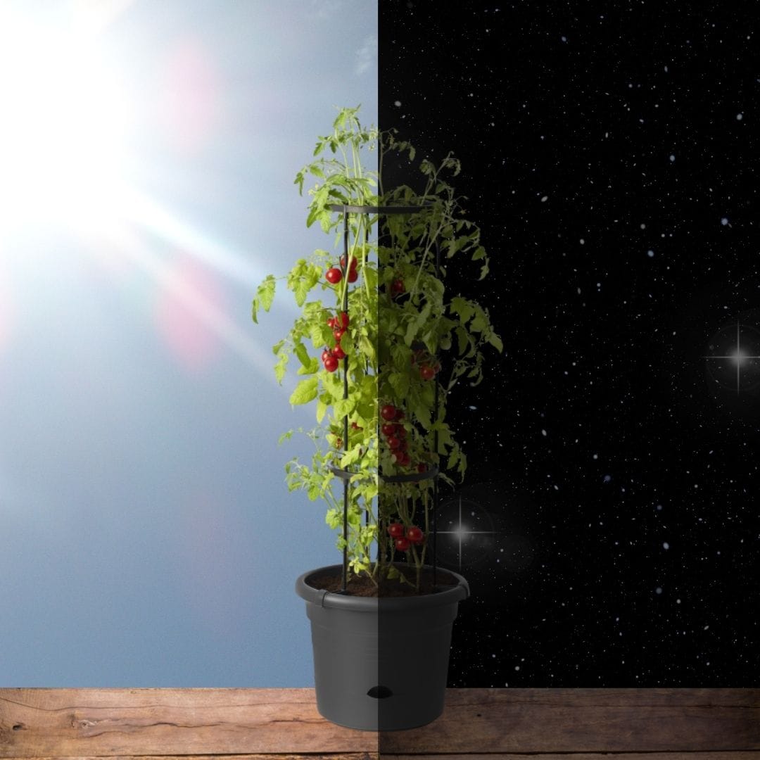 Improving gene regulatory network models with RNA levels in absolute units