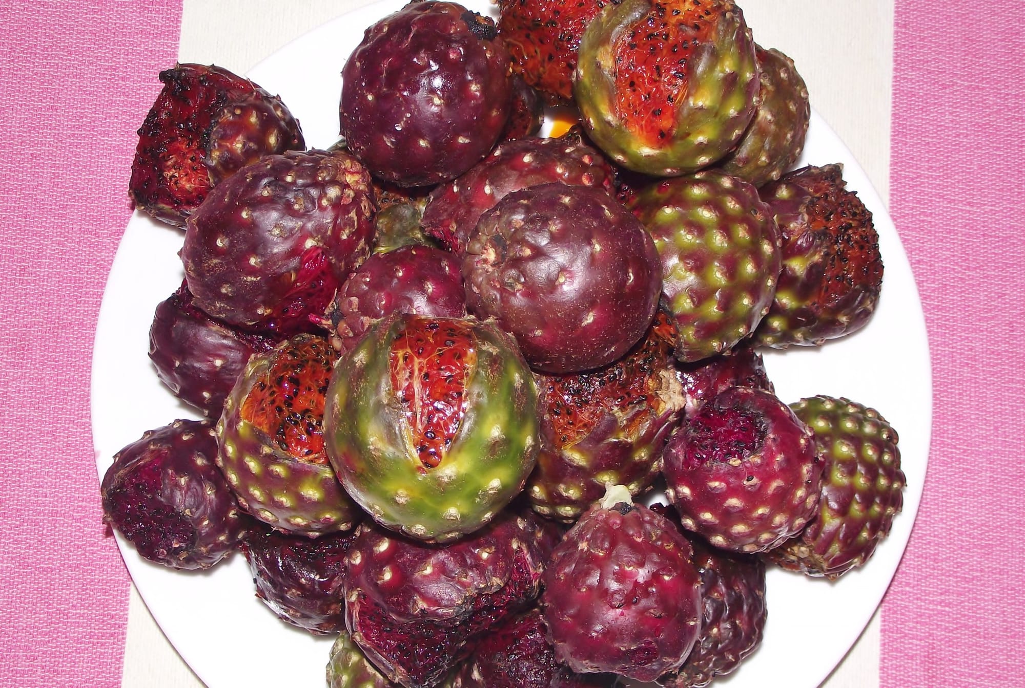 Formal schooling reduces how well young people know the edible plants of their region