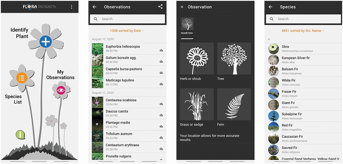Flora Incognita shows high identification accuracy in Northern Europe