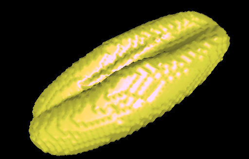 Measuring the hidden phenotype using novel mathematical techniques
