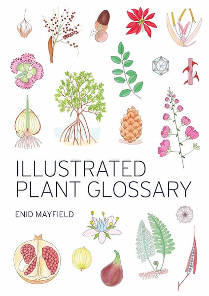 Illustrated Plant Glossary Cover
